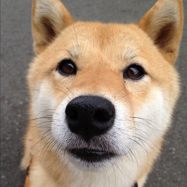 欧冠里程碑之夜，燃烧的蓝色，熄灭的蓝色