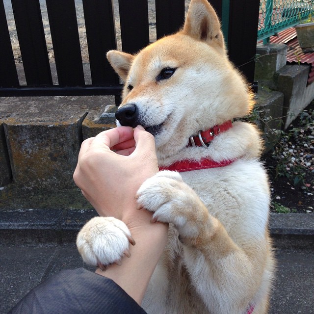 开云体育官网-神祇的独舞，时代的落幕，哈登爆发之夜，热火用团队提前终结悬念