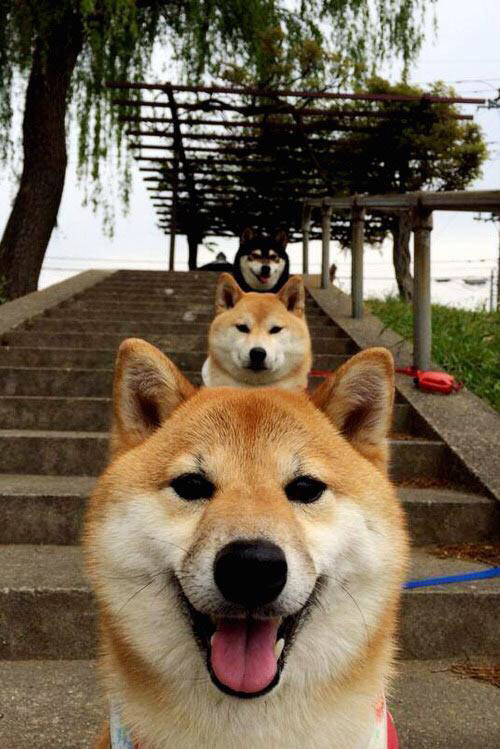 控场的哲学，当詹姆斯教会我们，节奏是胜利唯一的语言