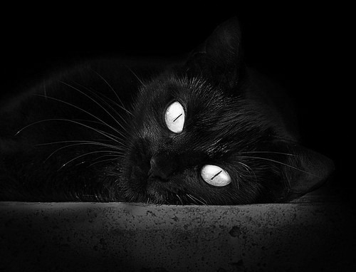 开云体育官网-冰火淬炼，利拉德超神之夜撕裂雷霆铁阵