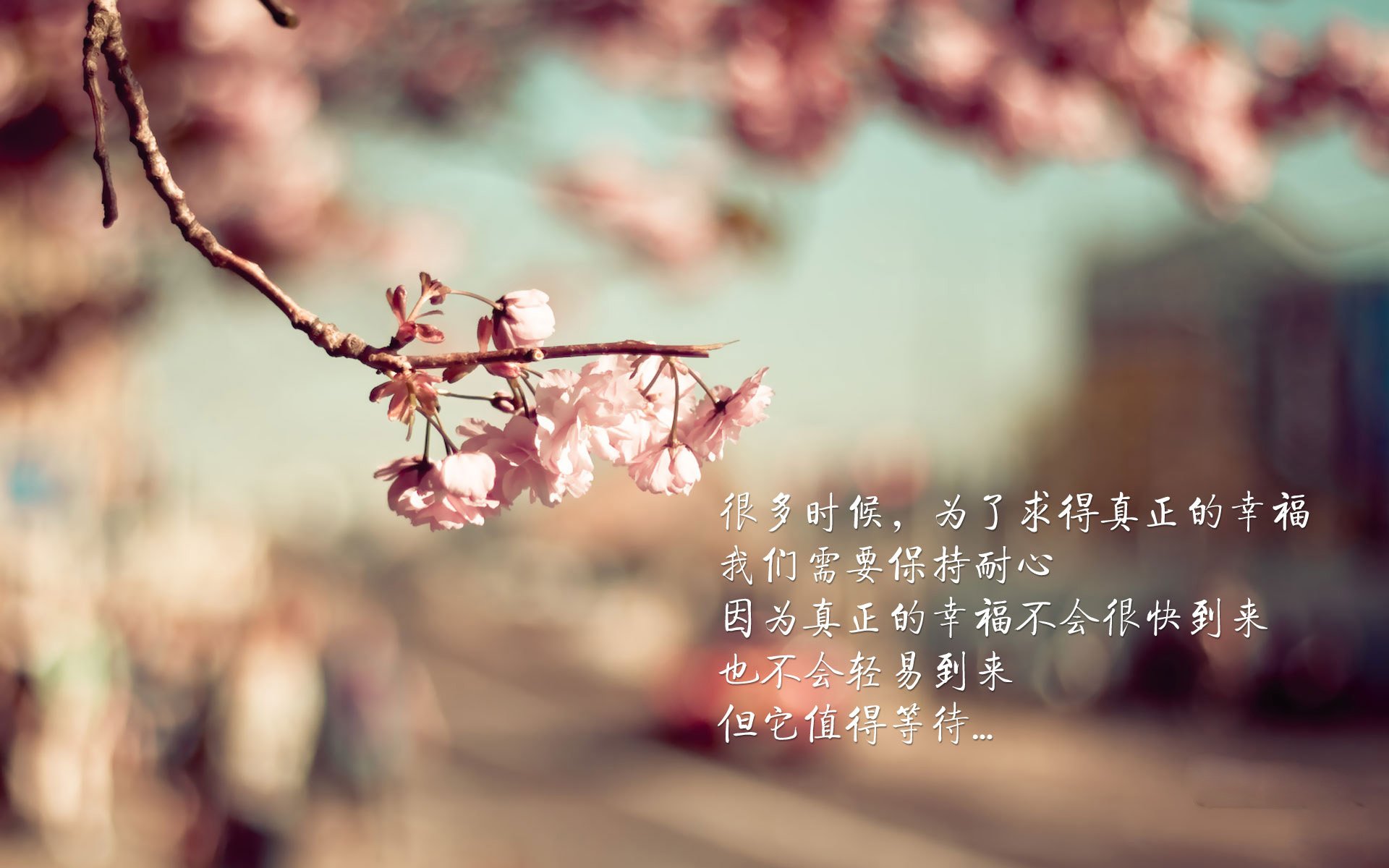 开云体育在线-黄金蜂群碾碎苍穹，赛道之王接管城市，统治力是门跨界的艺术