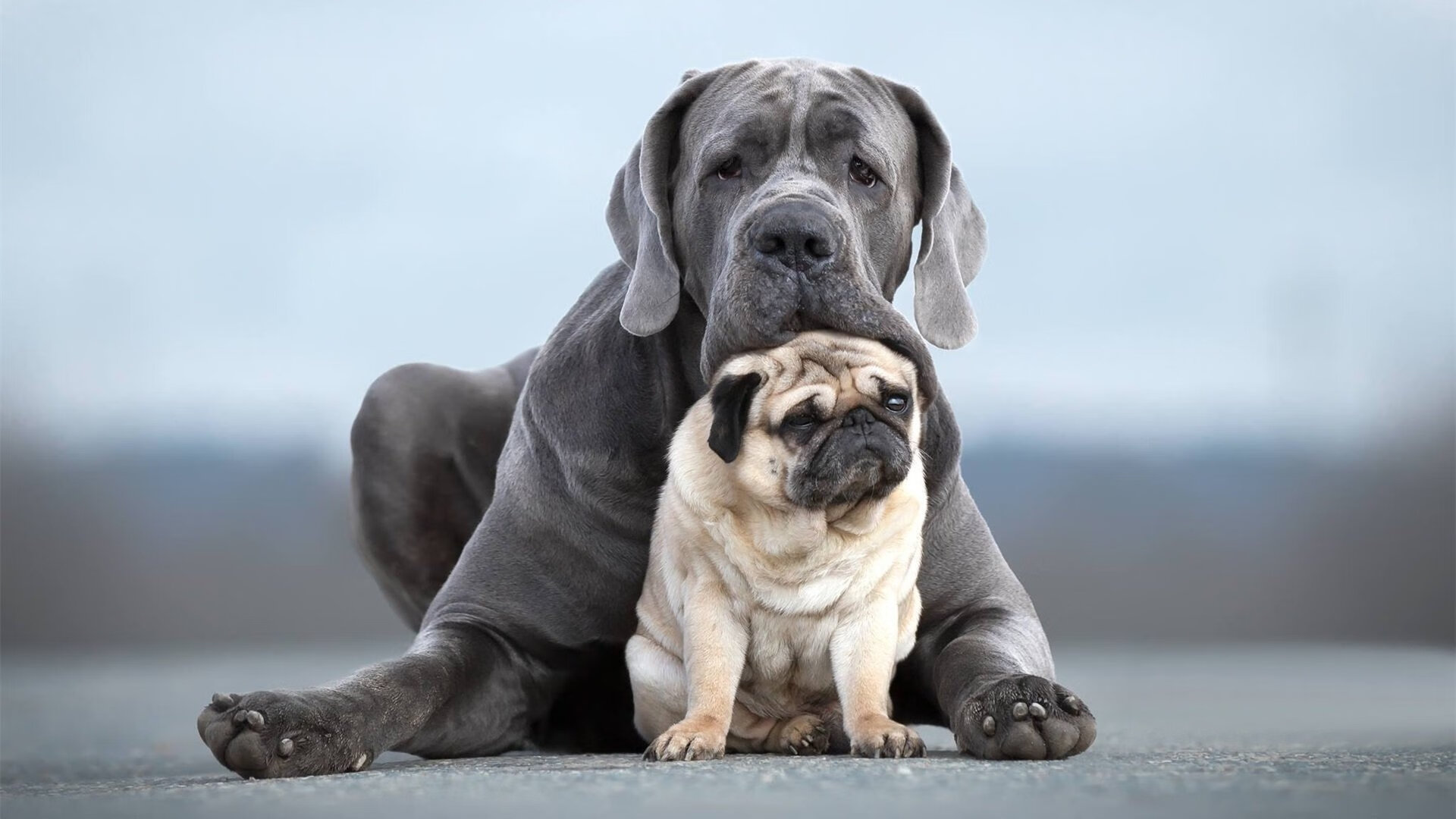 浴火与破冰,热火的终章艺术与克莱的无声宣言