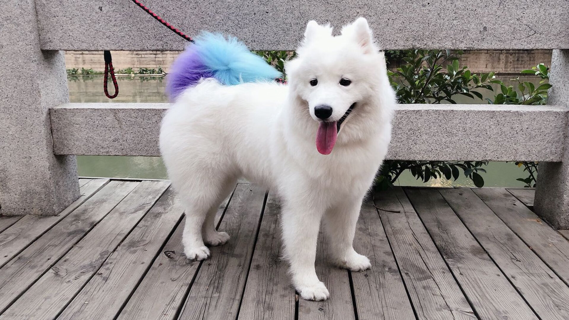 开云体育在线-悬崖边的挥杆，萨内一棒如何为南非敲开通往历史的大门？