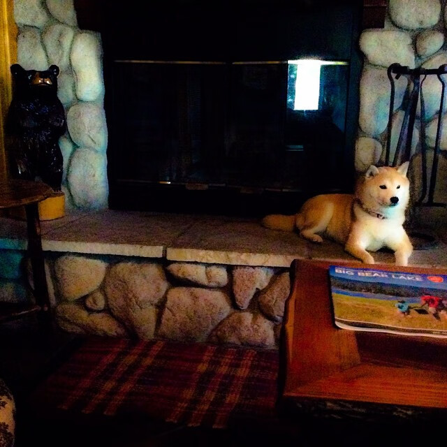 沙漠赛道，英格拉姆的方向盘上，镌刻着丹佛高原的雪