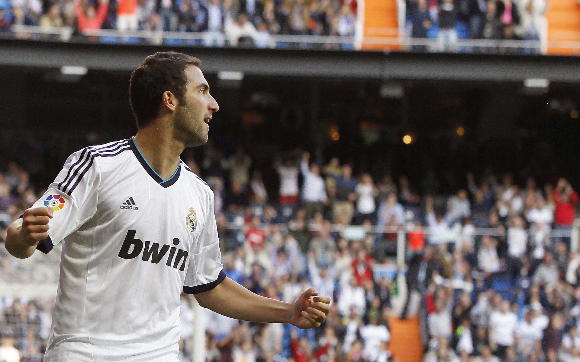 开云体育平台APP-绿茵与硬木，双面爆发启示录