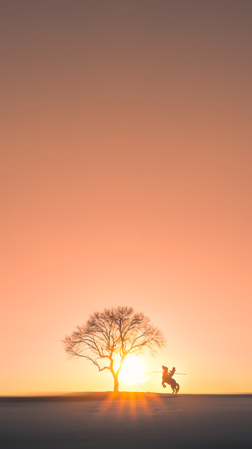 绿军王牌席卷五棵松！塔图姆52分神迹击碎北京队冠军梦