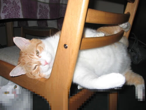 开云sport-独行侠对阵猛龙，布伦森化身篮球密码，解锁完全无解之战